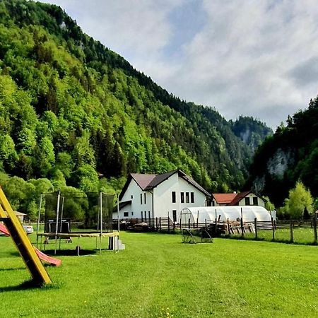 Готель Casa Petruta Dambovicioara Podu Dimbovitei Екстер'єр фото