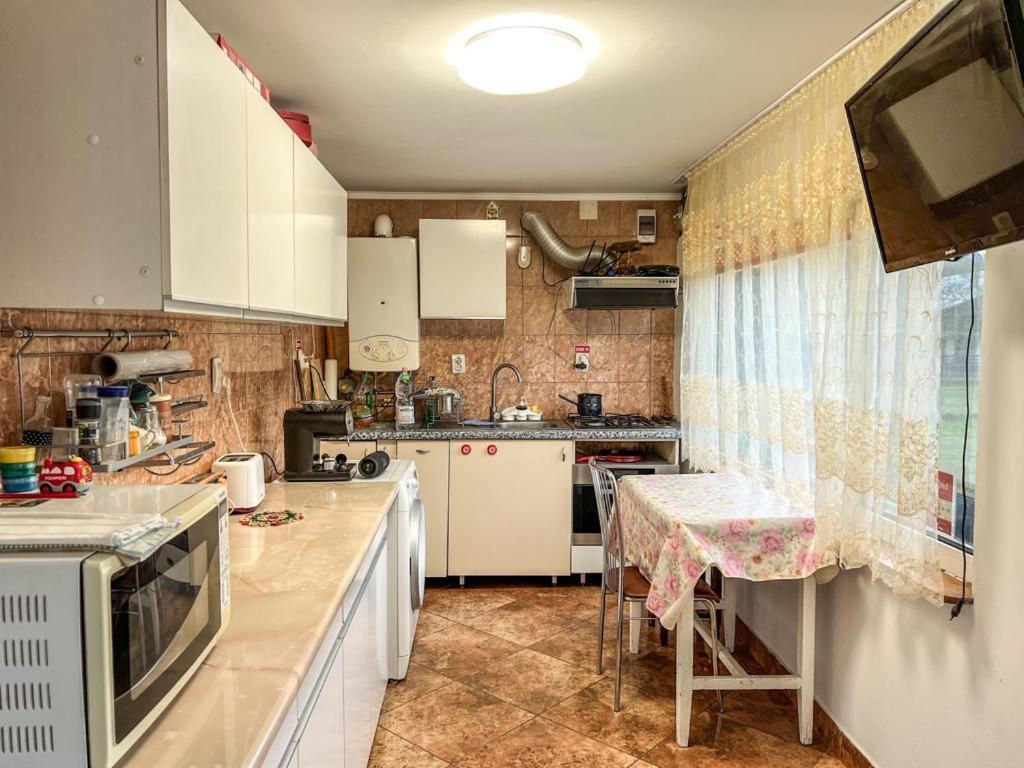Готель Casa Petruta Dambovicioara Podu Dimbovitei Екстер'єр фото