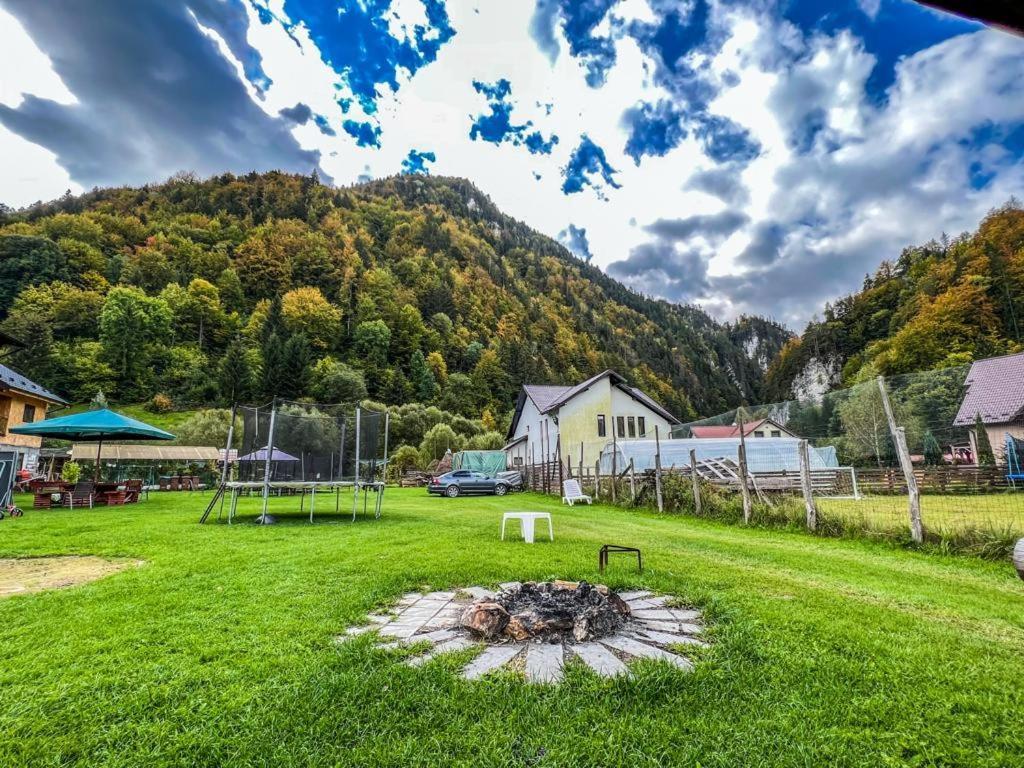 Готель Casa Petruta Dambovicioara Podu Dimbovitei Екстер'єр фото