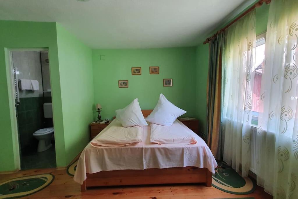 Готель Casa Petruta Dambovicioara Podu Dimbovitei Екстер'єр фото