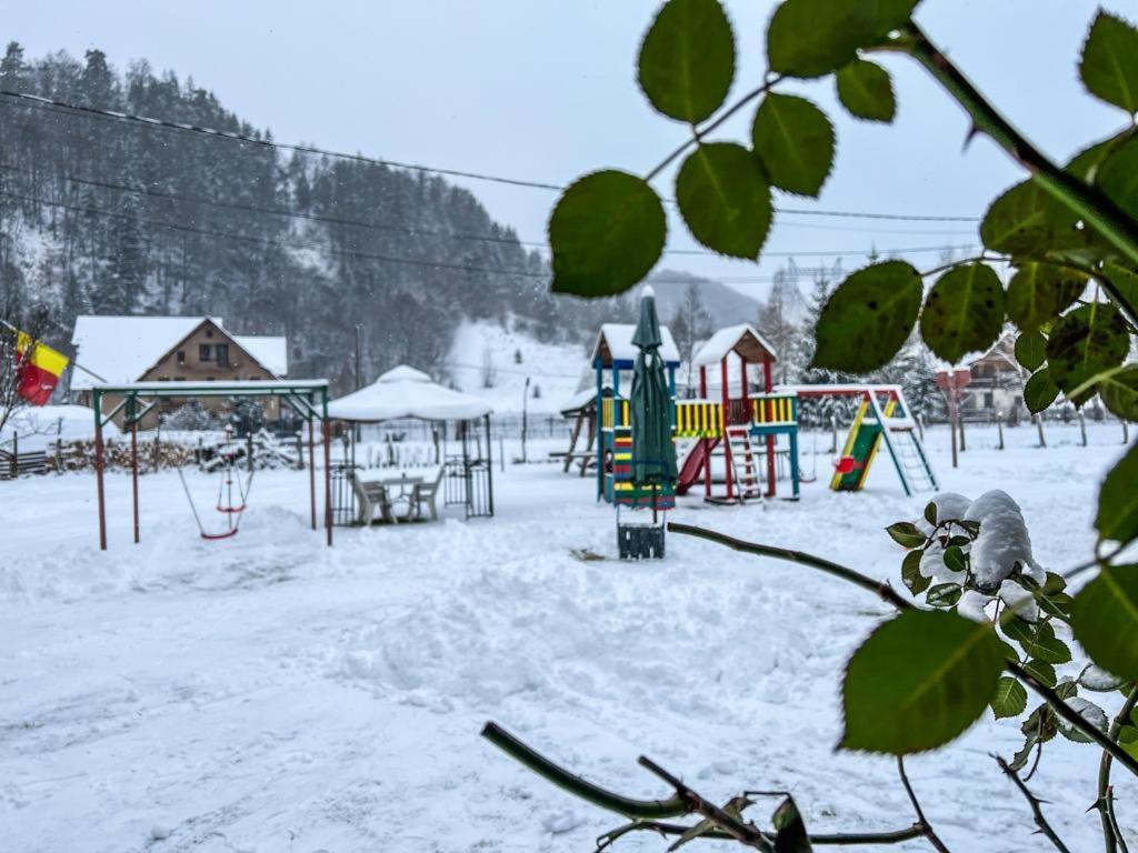 Готель Casa Petruta Dambovicioara Podu Dimbovitei Екстер'єр фото