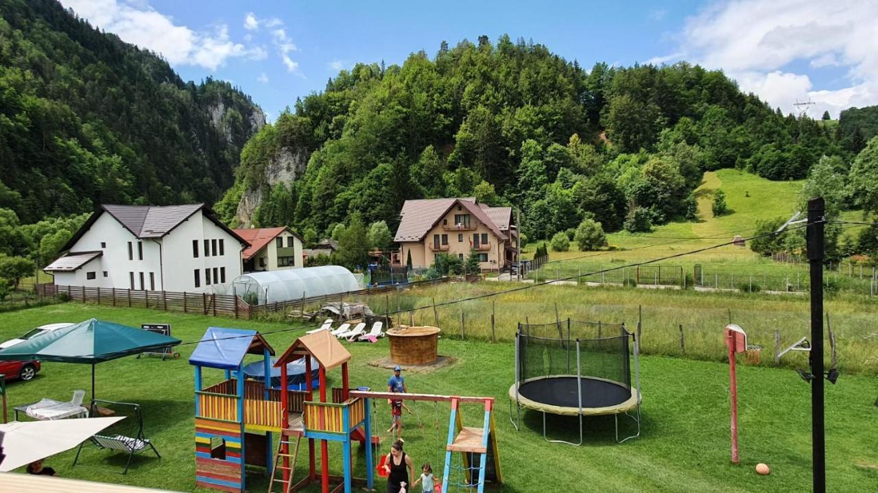 Готель Casa Petruta Dambovicioara Podu Dimbovitei Екстер'єр фото