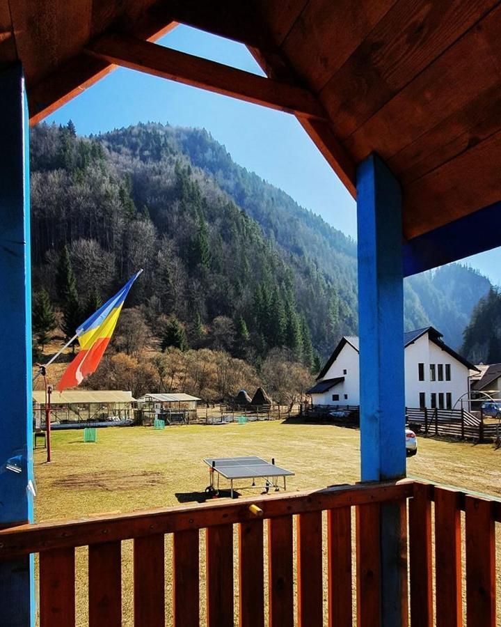 Готель Casa Petruta Dambovicioara Podu Dimbovitei Екстер'єр фото
