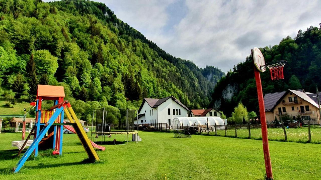 Готель Casa Petruta Dambovicioara Podu Dimbovitei Екстер'єр фото