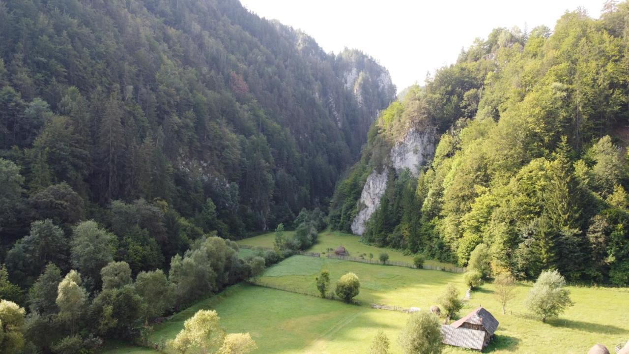 Готель Casa Petruta Dambovicioara Podu Dimbovitei Екстер'єр фото