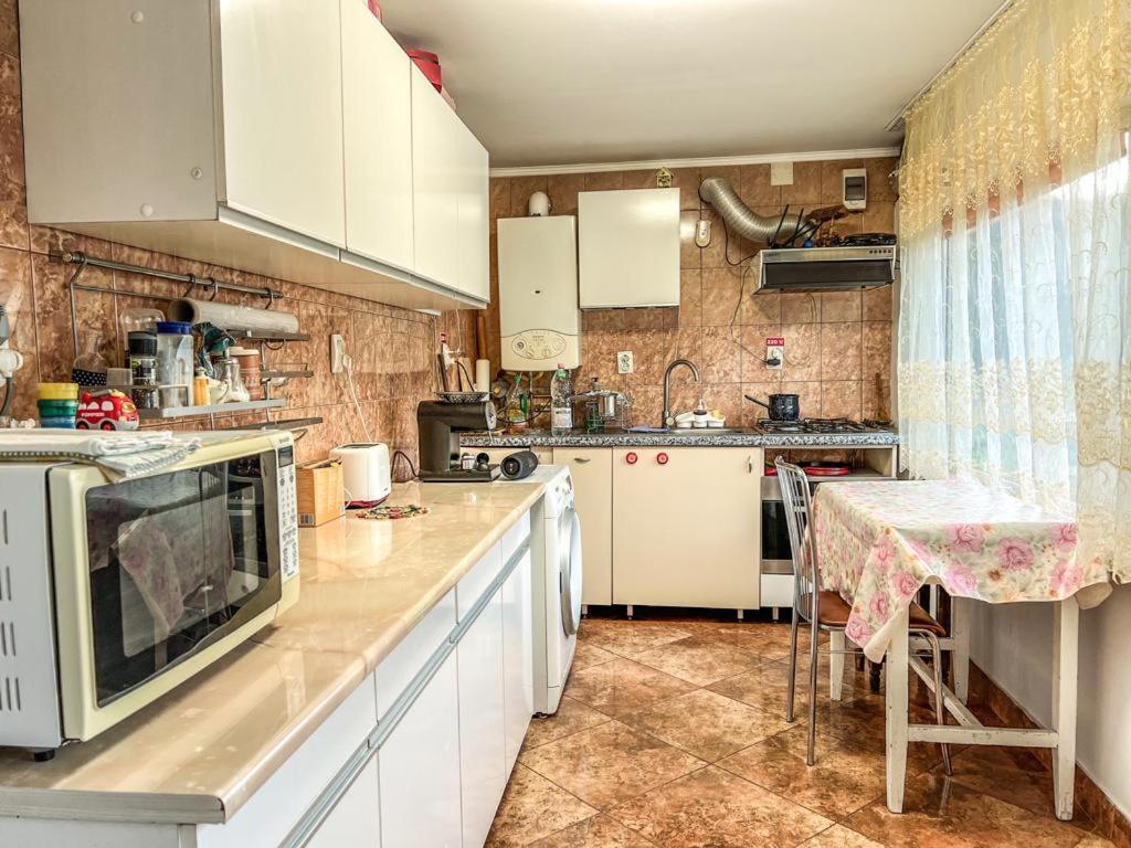 Готель Casa Petruta Dambovicioara Podu Dimbovitei Екстер'єр фото